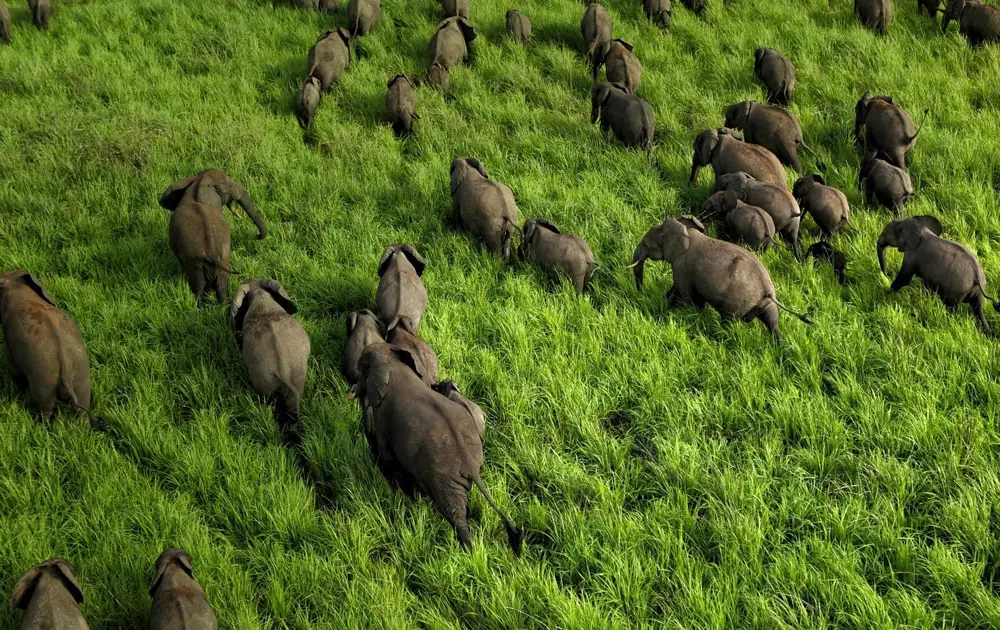Garamba & The Northern Savannas
