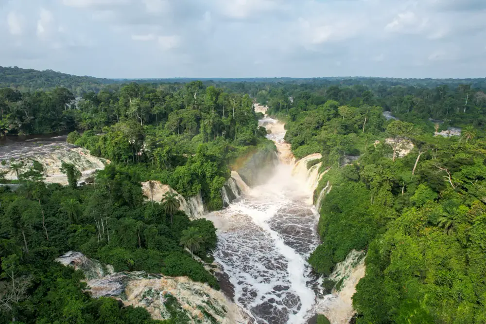 Ivindo National Park