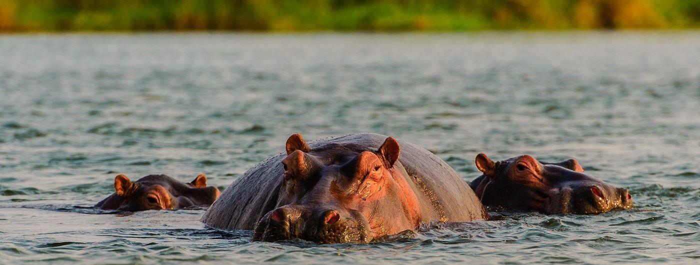 Lower Zambezi National Park